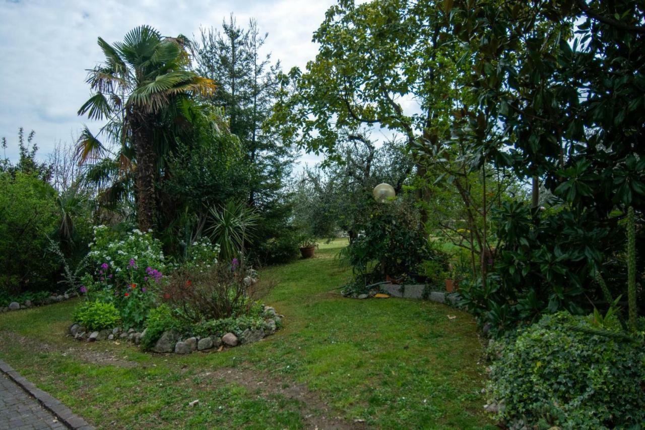El Rincon Del Artista Bed & Breakfast Soiano Del Lago Ngoại thất bức ảnh